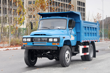 170馬力東風(fēng)4×4越野尖頭卡車(chē)_四驅(qū)前2.5噸后8噸專(zhuān)用載貨_全驅(qū)定制貨車(chē)